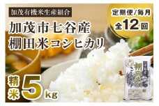 【令和7年産新米先行予約】【定期便12ヶ月毎月お届け】七谷産 棚田米 コシヒカリ 精米 5kg《10月中旬から順次出荷》  白米 加茂有機米生産組合 新潟県 加茂市産 白米 米 お米 定期便