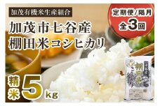 【令和7年産新米先行予約】【定期便3回隔月お届け】七谷産 棚田米コシヒカリ 精米 5kg《10月中旬から順次出荷》 白米 加茂有機米生産組合 新潟県 加茂市産 白米 米 お米 定期便