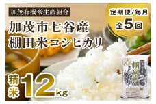 【令和7年産新米先行予約】【定期便5ヶ月毎月お届け】七谷産 棚田米 コシヒカリ 精米 12kg（5kg×2＋2kg×1）《10月中旬から順次出荷》白米 加茂有機米生産組合 新潟県 加茂市産 白米 米 お米 定期便