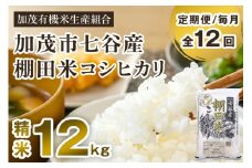 【令和7年産新米先行予約】【定期便12ヶ月毎月お届け】七谷産 棚田米 コシヒカリ 精米 12kg（5kg×2＋2kg×1）《10月中旬から順次出荷》白米 加茂有機米生産組合 新潟県 加茂市産 白米 米 お米 定期便