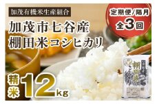 【令和7年産新米先行予約】【定期便3回隔月お届け】七谷産 棚田米 コシヒカリ 精米 12kg（5kg×2＋2kg×1）《10月中旬から順次出荷》 白米 加茂有機米生産組合 新潟県 加茂市産 白米 米 お米 定期便