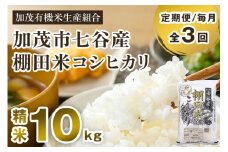 【令和7年産新米先行予約】【定期便3回毎月お届け】新潟県加茂市 七谷産 棚田米コシヒカリ 精米10kg（5kg×2） 《10月中旬から順次出荷》 白米 加茂有機米生産組合 定期便