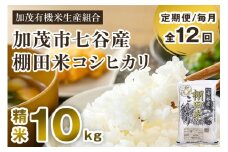【令和7年産新米先行予約】【定期便12ヶ月毎月お届け】新潟県加茂市 七谷産 棚田米コシヒカリ 精米10kg（5kg×2）《10月中旬から順次出荷》 白米 加茂有機米生産組合 定期便
