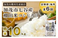 【令和7年産新米先行予約】【定期便6ヶ月毎月お届け】新潟県加茂市 七谷産 棚田米コシヒカリ 精米10kg（5kg×2）《10月中旬から順次出荷》 白米 加茂有機米生産組合 定期便