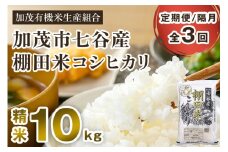 【令和7年産新米先行予約】【定期便3回隔月お届け】新潟県加茂市 七谷産 棚田米コシヒカリ 精米10kg（5kg×2）《10月中旬から順次出荷》 白米 加茂有機米生産組合 定期便
