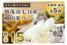 【令和7年産新米先行予約】【定期便5ヶ月毎月お届け】七谷産 棚田米 コシヒカリ 精米 15kg（5kg×3）《10月中旬から順次出荷》 白米 加茂有機米生産組合 新潟県 加茂市産 白米 米 お米 定期便