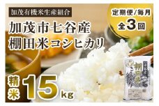 【令和7年産新米先行予約】【定期便3回毎月お届け】七谷産 棚田米 コシヒカリ 精米 15kg（5kg×3） 《10月中旬から順次出荷》 白米 加茂有機米生産組合 新潟県 加茂市産 白米 米 お米 定期便