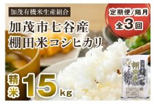 【令和7年産新米先行予約】【定期便3回隔月お届け】七谷産 棚田米 コシヒカリ 精米15kg（5kg×3）《10月中旬から順次出荷》 白米 加茂有機米生産組合 新潟県 加茂市産 白米 米 お米 定期便