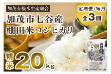 【令和7年産新米先行予約】【定期便3回毎月お届け】七谷産 棚田米 コシヒカリ 精米 20kg（5kg×4） 《10月中旬から順次出荷》 白米 加茂有機米生産組合 新潟県 加茂市産 白米 米 お米 定期便