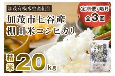 【令和7年産新米先行予約】【定期便3回隔月お届け】七谷産 棚田米 コシヒカリ 精米 20kg（5kg×4）《10月中旬から順次出荷》白米 加茂有機米生産組合 新潟県 加茂市産 白米 米 お米 定期便