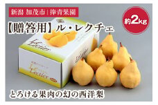 【2025年先行予約】【贈答用】西洋梨 ル・レクチェ 約2kg（5〜7玉） 《11月下旬以降発送》 幻の西洋梨 果実 フルーツ 冬の味覚 加茂市 捧青果園