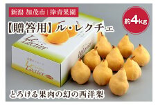 【2025年先行予約】【贈答用】西洋梨 ル・レクチェ 約4kg（9〜12玉） 《11月下旬以降発送》 幻の西洋梨 果実 フルーツ 冬の味覚 加茂市 捧青果園