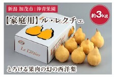 【2025年先行予約】【家庭用】西洋梨 ル・レクチェ 約3kg（7〜10玉） 《11月下旬以降発送》 幻の西洋梨 果実 フルーツ 冬の味覚 加茂市 捧青果園
