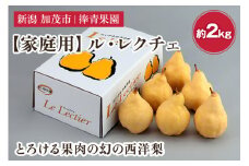 【2025年先行予約】【家庭用】西洋梨 ル・レクチェ 約2kg（5〜7玉） 《11月下旬以降発送》 幻の西洋梨 果実 フルーツ 冬の味覚 加茂市 捧青果園