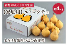 【2025年先行予約】【家庭用】西洋梨 ル・レクチェ 約4kg（9〜12玉） 《11月下旬以降発送》 幻の西洋梨 果実 フルーツ 冬の味覚 加茂市 捧青果園