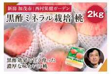 【2025年先行予約】新潟産 西村の黒酢ミネラル栽培 桃 2kg（5～12玉）《7月下旬以降発送》玄米黒酢やヨーグルトを散布して育てた桃 果物 フルーツ ギフト 加茂市 西村果樹ガーデン