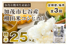【令和7年産新米先行予約】【定期便3回毎月お届け】新潟県加茂市 七谷産 棚田米コシヒカリ 精米25kg（5kg×5） 《10月中旬から順次出荷》 白米 加茂有機米生産組合 定期便