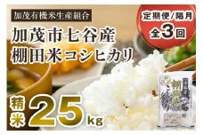 【令和7年産新米先行予約】【定期便3回隔月お届け】七谷産 棚田米 コシヒカリ 精米 25kg（5kg×5）《10月中旬から順次出荷》 白米 加茂有機米生産組合 新潟県 加茂市産 白米 米 お米 定期便