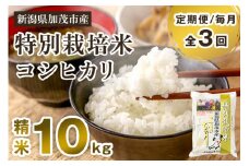 【令和7年産新米先行予約】【定期便3回毎月お届け】特別栽培米コシヒカリ 精米 10kg（5kg×2） 《10月中旬から順次出荷》 白米 従来品種コシヒカリ 加茂有機米生産組合 新潟県 加茂市産 白米 米 お米 定期便