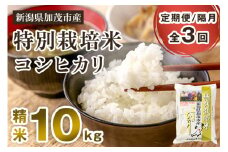 【令和7年産新米先行予約】【定期便3回隔月お届け】特別栽培米 コシヒカリ 精米 10kg（5kg×2）《10月中旬から順次出荷》  白米 従来品種コシヒカリ 加茂有機米生産組合 新潟県 加茂市産 白米 米 お米 定期便