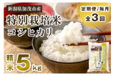 【令和7年産新米先行予約】【定期便3回毎月お届け】特別栽培米 コシヒカリ 精米 5kg 《10月中旬から順次出荷》 白米 従来品種コシヒカリ 加茂有機米生産組合 新潟県 加茂市産 白米 米 お米 定期便