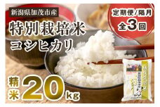 【令和6年産米】【定期便3回隔月お届け】特別栽培米 コシヒカリ 精米 20kg（5kg×4）白米 従来品種コシヒカリ 加茂有機米生産組合 新潟県 加茂市産 米 お米 定期便