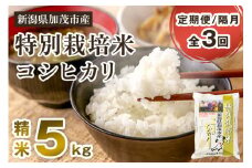 【令和6年産米】【定期便3回隔月お届け】特別栽培米 コシヒカリ 精米 5kg 白米 従来品種コシヒカリ 加茂有機米生産組合 新潟県 加茂市産 米 お米 定期便