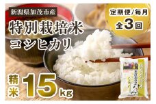 【令和7年産新米先行予約】【定期便3回毎月お届け】特別栽培米 コシヒカリ 精米 15kg（5kg×3） 《10月中旬から順次出荷》 白米 従来品種コシヒカリ 加茂有機米生産組合 新潟県 加茂市産 米 お米 定期便