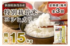 【令和6年産米】【定期便3回隔月お届け】特別栽培米 コシヒカリ 精米 15kg（5kg×3）白米 従来品種コシヒカリ 加茂有機米生産組合 新潟県 加茂市産 白米 米 お米 定期便