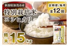 【令和6年産米】【定期便12ヶ月毎月お届け】 特別栽培米 コシヒカリ 精米 15kg（5kg×3）白米 従来品種コシヒカリ 加茂有機米生産組合 新潟県 加茂市産 米 お米 定期便