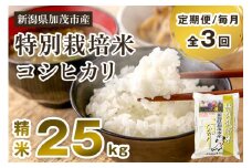 【令和7年産新米先行予約】【定期便3回毎月お届け】特別栽培米 コシヒカリ 精米 25kg（5kg×5） 《10月中旬から順次出荷》 白米 従来品種コシヒカリ 加茂有機米生産組合 新潟県 加茂市産 白米 米 お米 定期便