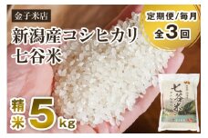 【令和6年産米】【定期便3回毎月お届け】老舗米穀店が厳選 新潟産 従来品種コシヒカリ「七谷米」精米5kg 白米 窒素ガス充填パックで鮮度長持ち 金子米店 定期便