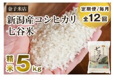 【令和6年産米】【定期便12ヶ月毎月お届け】老舗米穀店が厳選 新潟産 従来品種コシヒカリ「七谷米」精米5kg 白米 窒素ガス充填パックで鮮度長持ち 金子米店 定期便