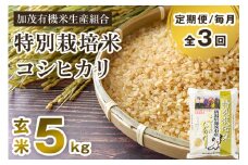 【令和6年産米】【定期便3回毎月お届け】新潟県加茂市産 特別栽培米 コシヒカリ 玄米 5kg 従来品種 従来コシヒカリ お米 米 加茂有機米生産組合 定期便