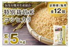 【令和6年産米】【定期便12ヶ月毎月お届け】特別栽培米 コシヒカリ 玄米 5kg 従来品種 従来コシヒカリ お米 米 加茂有機米生産組合 新潟県 加茂市産 定期便