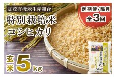 【令和6年産米】【定期便3回隔月お届け】特別栽培米 コシヒカリ 玄米 5kg 従来品種 従来コシヒカリ お米 米 加茂有機米生産組合 新潟県 加茂市産 定期便