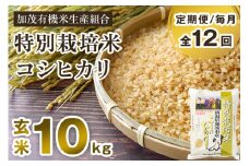 【令和6年産米】【定期便12ヶ月毎月お届け】特別栽培米 コシヒカリ 玄米 10kg（5kg×2）従来品種 従来コシヒカリ お米 米 加茂有機米生産組合 新潟県 加茂市産 定期便