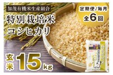 【令和6年産米】【定期便6ヶ月毎月お届け】特別栽培米 コシヒカリ 玄米 15kg（5kg×3）従来品種 従来コシヒカリ お米 米 加茂有機米生産組合 新潟県 加茂市産 定期便