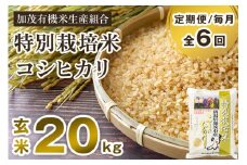 【令和6年産米】【定期便6ヶ月毎月お届け】特別栽培米 コシヒカリ 玄米 20kg（5kg×4）従来品種 従来コシヒカリ お米 米 加茂有機米生産組合 新潟県 加茂市産 定期便