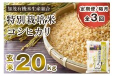 【令和6年産米】【定期便3回隔月お届け】特別栽培米 コシヒカリ 玄米 20kg（5kg×4）従来品種 従来コシヒカリ お米 米 加茂有機米生産組合 新潟県 加茂市産 定期便