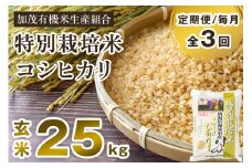【令和6年産米】【定期便3回毎月お届け】特別栽培米 コシヒカリ 玄米 25kg（5kg×5）従来品種 従来コシヒカリ お米 米 加茂有機米生産組合 新潟県 加茂市産 定期便