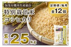 【令和6年産米】【定期便12ヶ月毎月お届け】特別栽培米 コシヒカリ 玄米 25kg（5kg×5）従来品種 従来コシヒカリ お米 米 加茂有機米生産組合 新潟県 加茂市産 定期便