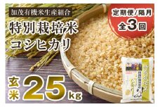 【令和6年産米】【定期便3回隔月お届け】特別栽培米 コシヒカリ 玄米 25kg（5kg×5）従来品種 従来コシヒカリ お米 米 加茂有機米生産組合 新潟県 加茂市産 定期便