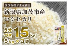 【令和6年産米】【5分づき】新潟県加茂市産 特別栽培米コシヒカリ 精米15kg（5kg×3） 従来品種コシヒカリ 加茂有機米生産組合