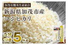 【令和6年産米】【5分づき】新潟県加茂市産 特別栽培米コシヒカリ 精米5kg 従来品種コシヒカリ 加茂有機米生産組合