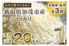 【令和6年産米】【定期便3ヶ月毎月お届け】5分づき 特別栽培 米コシヒカリ 精米 20kg（5kg×4） 従来品種コシヒカリ 加茂有機米生産組合  新潟県 加茂市産 白米 米 お米 定期便