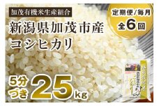 【令和6年産米】【定期便6ヶ月毎月お届け】5分づき 特別栽培米 コシヒカリ 精米 25kg（5kg×5） 従来品種コシヒカリ 加茂有機米生産組合 新潟県 加茂市産  定期便