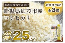 【令和6年産米】【定期便3ヶ月毎月お届け】5分づき 特別栽培米 コシヒカリ 精米 25kg（5kg×5） 従来品種コシヒカリ 加茂有機米生産組合 新潟県 加茂市産 白米 米 お米 定期便