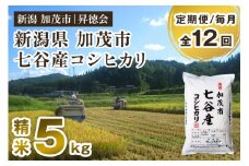 【令和6年産米】【定期便12ヶ月毎月お届け】新潟県加茂市 七谷産コシヒカリ 精米5kg 白米 高柳地域産数量限定 昇徳会 定期便