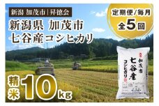 【令和6年産米】【定期便5ヶ月毎月お届け】新潟県加茂市 七谷産コシヒカリ 精米10kg（5kg×2） 白米 高柳地域産数量限定 昇徳会 定期便